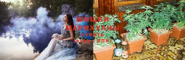 прущая мука Бронницы