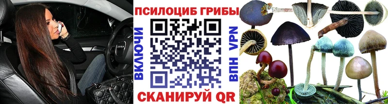 Купить  Чехов  Псилоцибиновые грибы мухоморы 