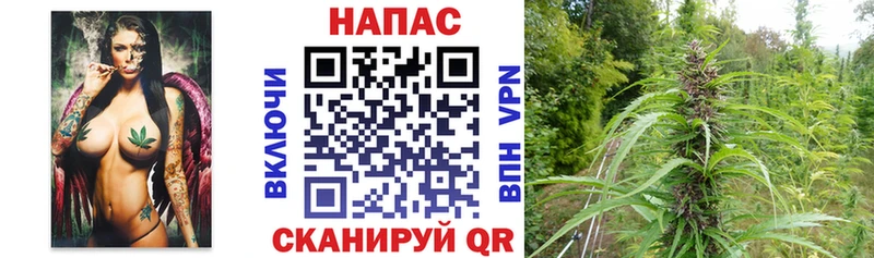 Бошки Шишки конопля Чехов